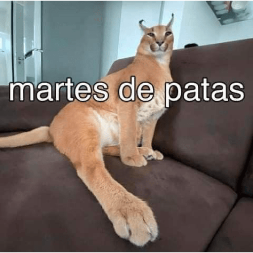 Memes loffie 5😂