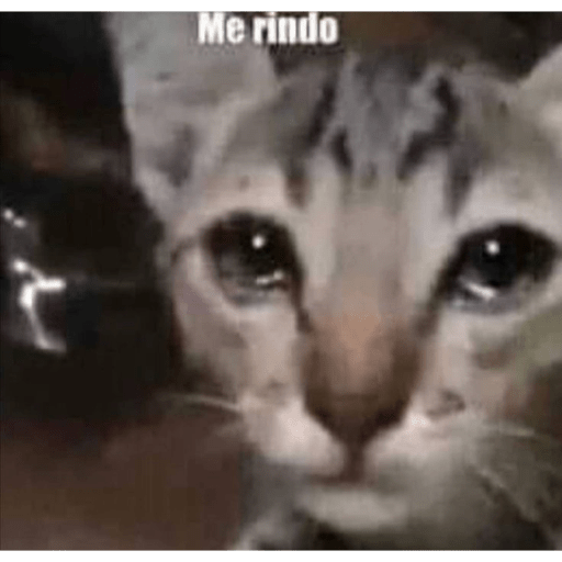 Me rindo😭