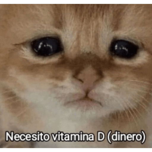 Amorosos 🥰