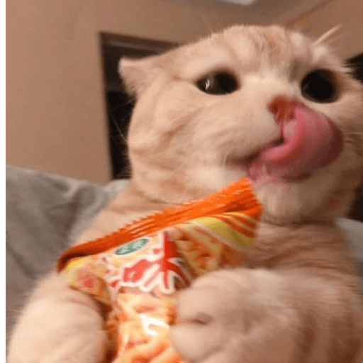 MEMES GATITOS 7🥰🤩 12