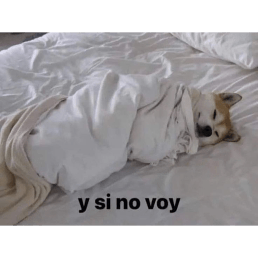 Yo le pregunte😅 9