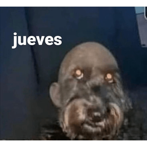 Yo le pregunte😅 4