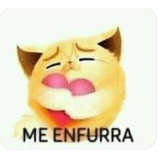 Yo le pregunte😅 6