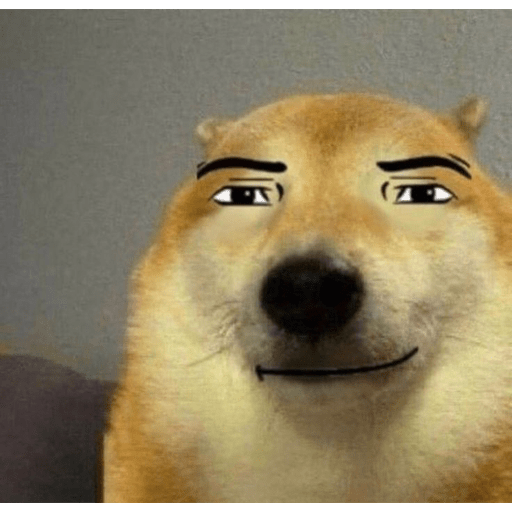Memes XD😆