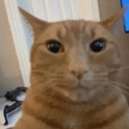 Gatitos random 3😂😂