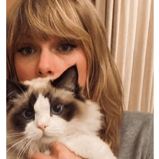 Swiftt 2