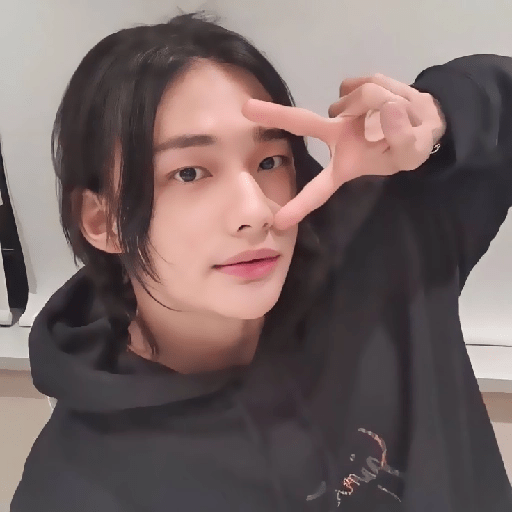 `` 🥐 ›› hyunjin  8