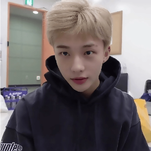 `` 🥐 ›› hyunjin  10