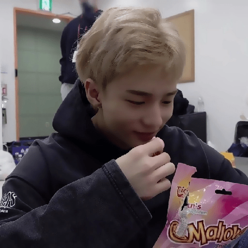 `` 🥐 ›› hyunjin  17