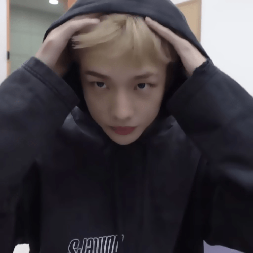 `` 🥐 ›› hyunjin  18