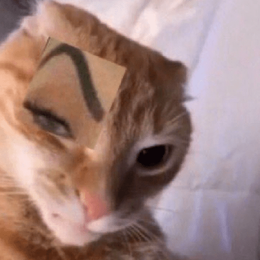 Cats and help 11