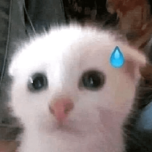 Cats and help 8