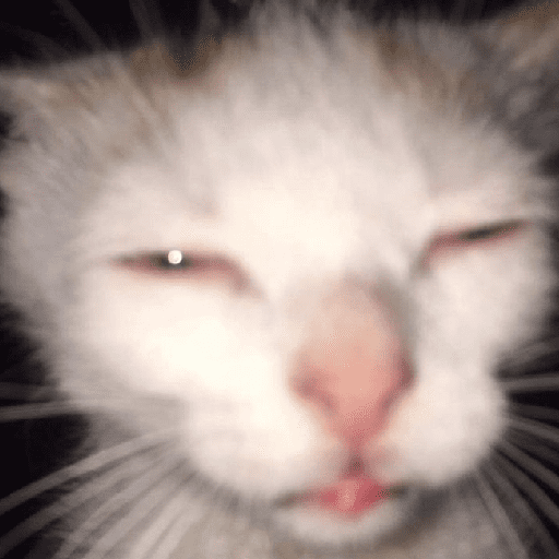 Cats and help 7