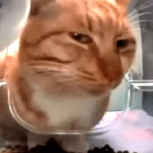 Cats and help 3