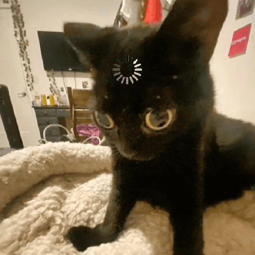 Cats and help