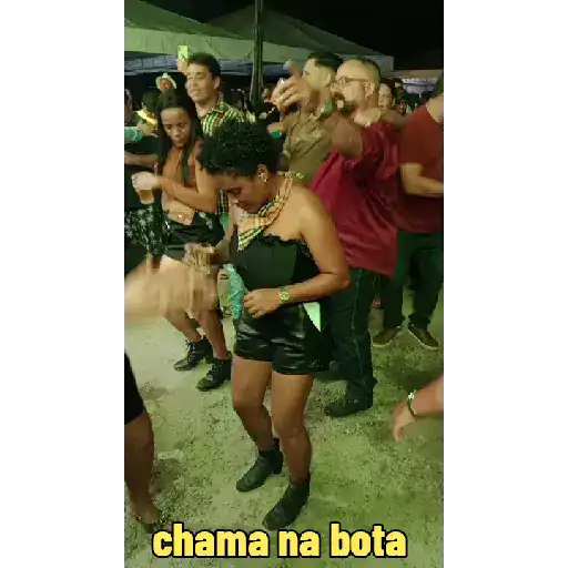 Meu novo álbum animado  25