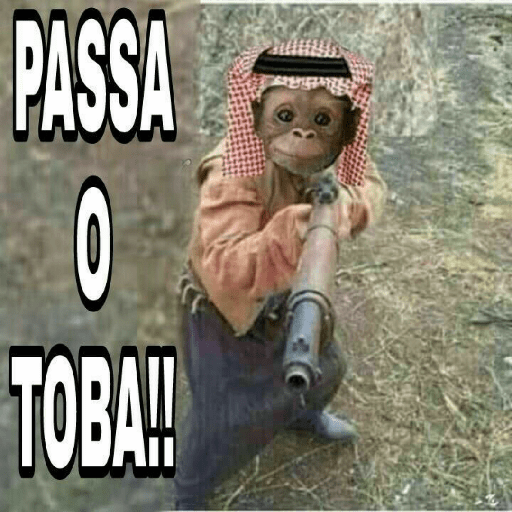 Zueira 29