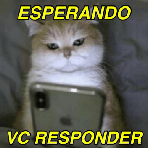 Zueira 27