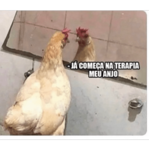 Aleatorios 15