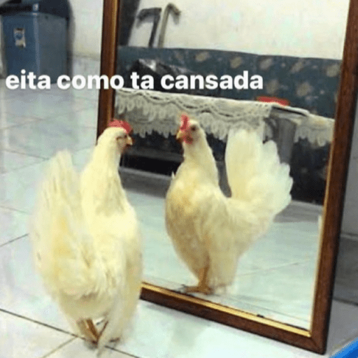 Aleatorios 11