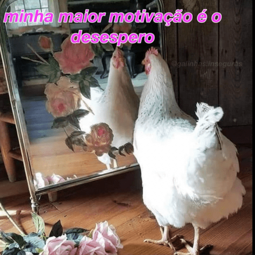 Aleatorios 4