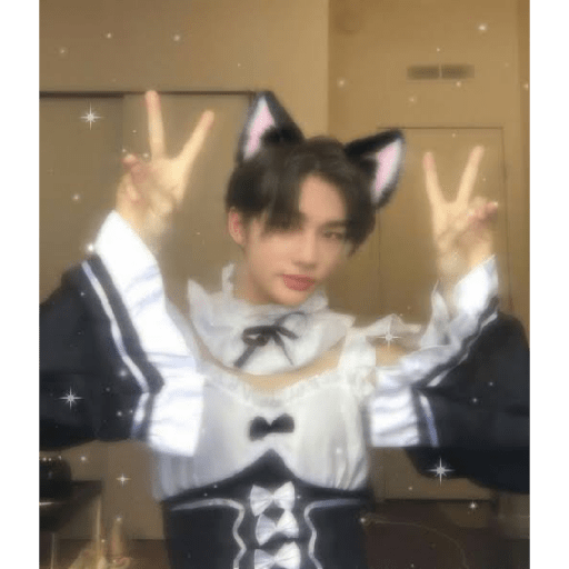 Straykids 9