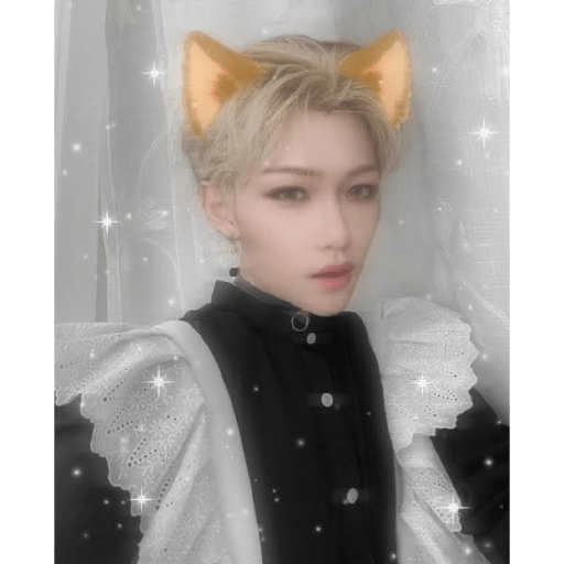 Straykids 8