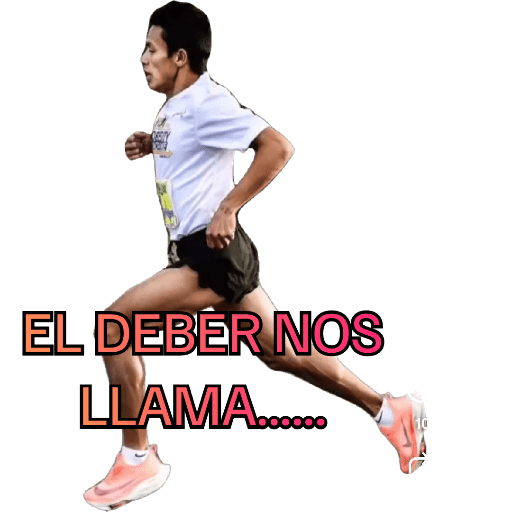 Mis pegatinas