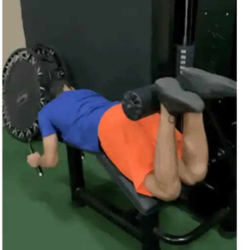 Zoeira 3