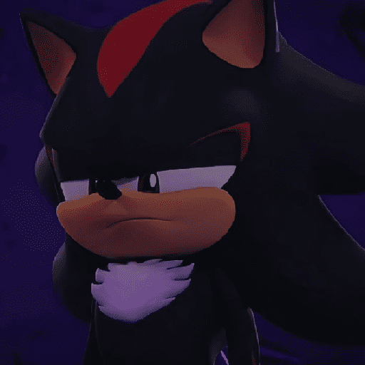 Shadow 2.0 13