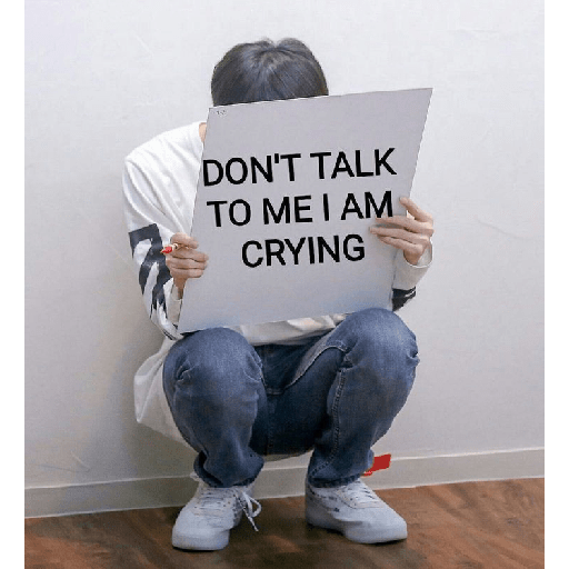 Bangtannies 25