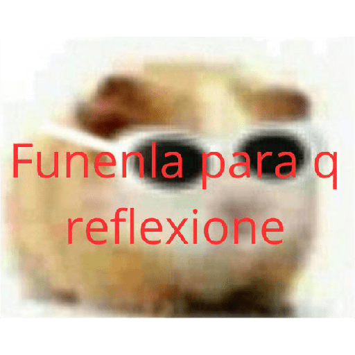 New 16