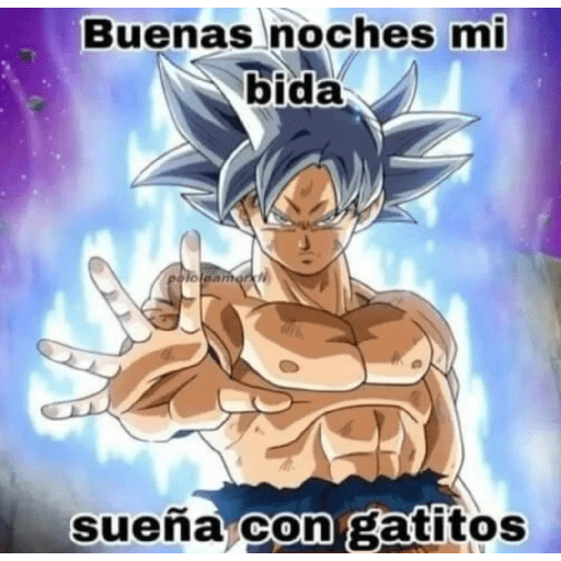 Horno 26