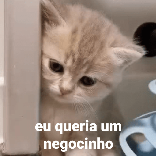 Coitadolandia 