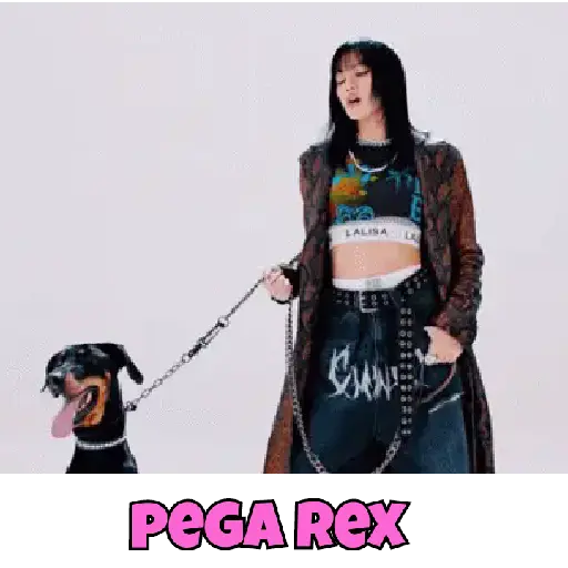 Black pink da dani 15