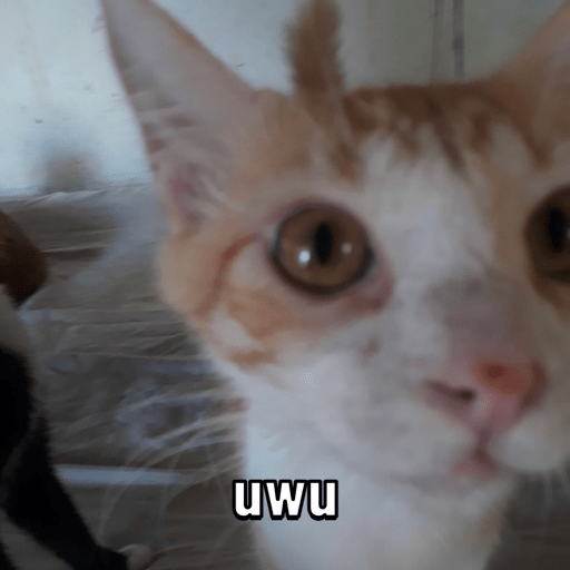 3008a521-0c65-47f2-b041-a8d5a55f25f9.png