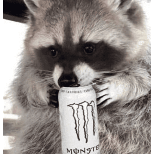 Mapache 7