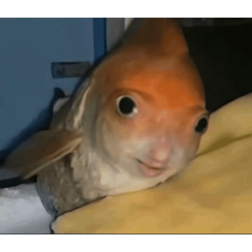 Daab 3