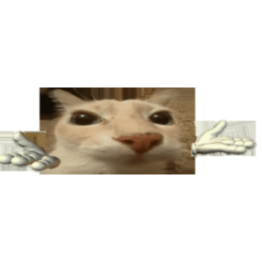 Chat2 12