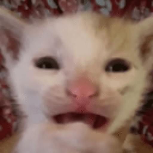 Chat2 23