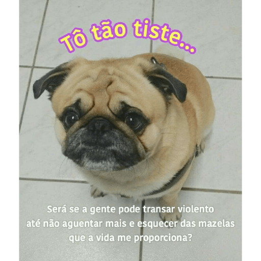 Me chupa 21