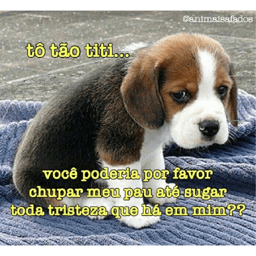 Me chupa 5