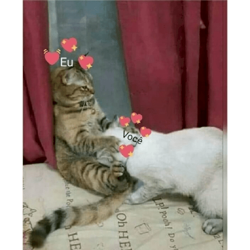 Me chupa 24