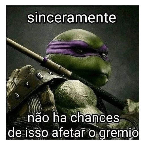 Será que sabe? 19