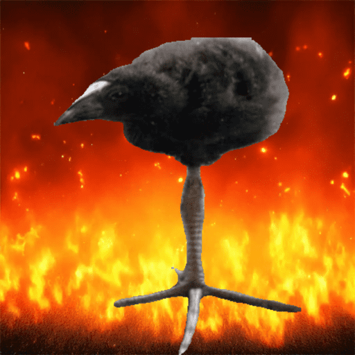 One leg bird 2