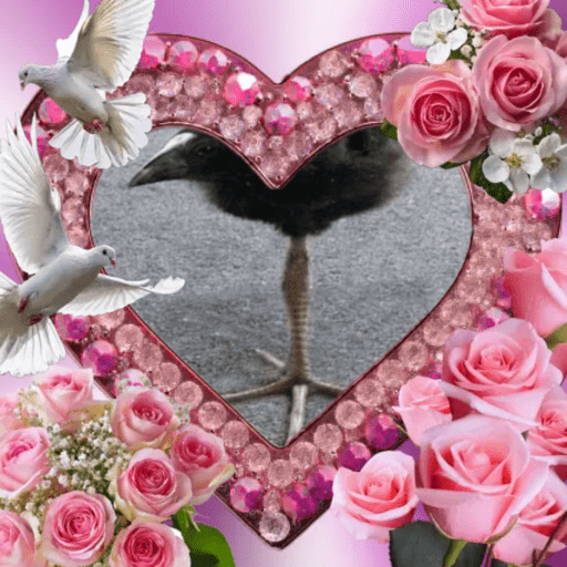 One leg bird 3