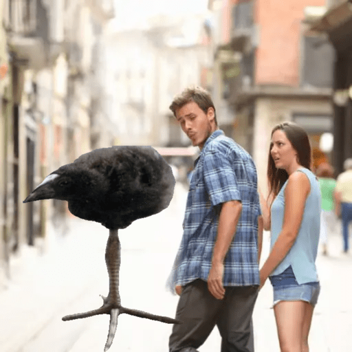 One leg bird 1