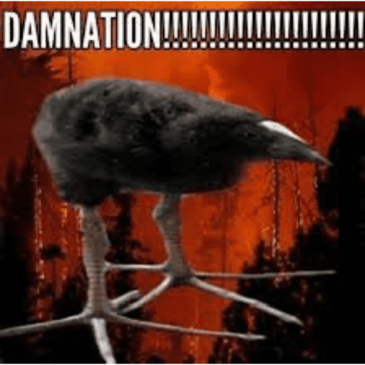 One leg bird 21