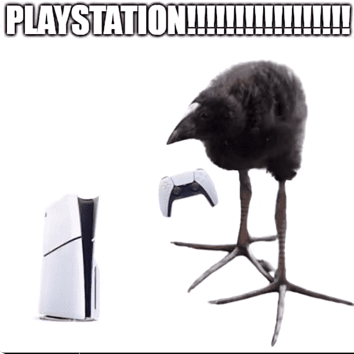 One leg bird 7