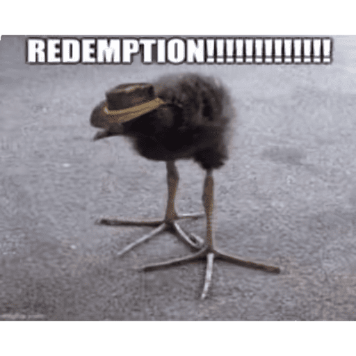 One leg bird 6